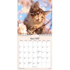 Mayland Vægkalender mini Kattekillinger 2027