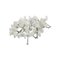 Nordic Quality 222796 – kuva 1