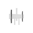 Multibrackets M Public Floorstand Basic 180 Fixed Arms - Max - recommended for