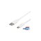 Deltaco - USB-C cable - USB to 24 pin USB-C - 50 cm – kuva 1