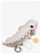 Done by Deer ™ Activity lelu Croco Sand – kuva 8