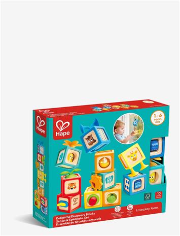 Hape Delightful Discovery Blocks