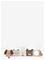 JOLLEIN Playpen Activity Book - OATMEAL - 82X22 – kuva 2
