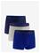 UNDER ARMOUR Ua Performance Tech - Solid 3"" 3Pk - ROYAL - M – kuva 2