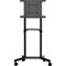 StarTech.com MBLTVSTNDEC - Max 70 kg - recommended for 70" – kuva 2