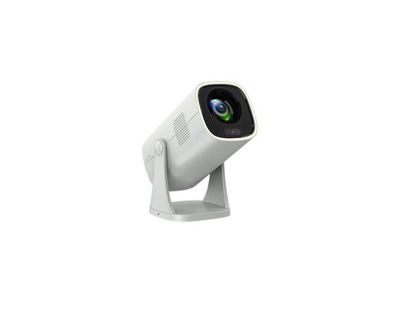 Philips NeoPix 244 NPX244/INT