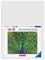 Ravensburger - Peacock - 500p (12001332) – kuva 8