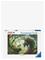 RAVENSBURGER The Forest Dragon Awakes 3000P - MULTI COLOURED - One Size – kuva 2