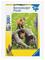 Ravensburger Curious Foxes 300p – kuva 7