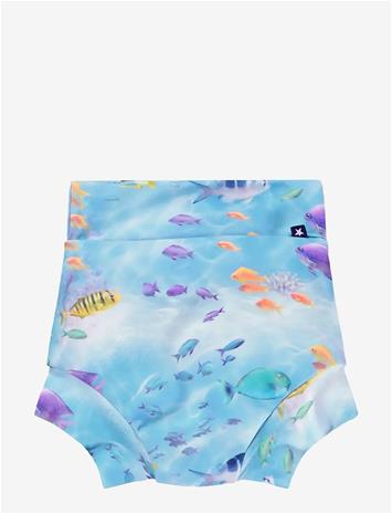 MOLO Nick - RAINBOW SEA - 56/62