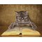 Diamond Dotz I Can Read SD6.402 – kuva 1