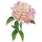 Diamond Dotz Pink Rose with Frame DDK5.069
