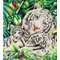 Diamond Dotz White Tiger Cubs DD10.006 – kuva 1