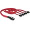 DeLOCK Cable mini SAS 36pin to 4x SATA 83057 – kuva 1