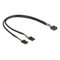DeLOCK sisäinen Usb-kaapeli 0,3 m 84513 – kuva 1