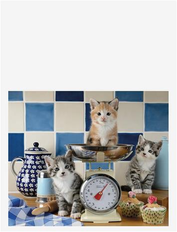 Cute Cats Palapeli 1500 palaa Ravensburger