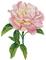 Diamond Dotz Pink Rose with Frame DDK5.069 – kuva 2