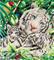 Diamond Dotz White Tiger Cubs DD10.006 – kuva 2