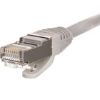 Netrack verkkokaapeli BZPAT56F