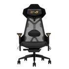 ASUS ROG Destrier Edition 20 90GC02C0-MSG010