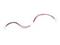 Zebra Cradle interconnection cable 25-66431-01R – kuva 2