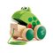 Hape Frog Pull Along E0361F – kuva 1