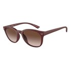 Aurinkolasit Emporio Armani EA4225U 610113