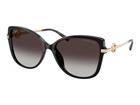 Aurinkolasit Michael Kors MK2290U 30058G