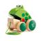 Hape Frog Pull Along E0361F – kuva 2