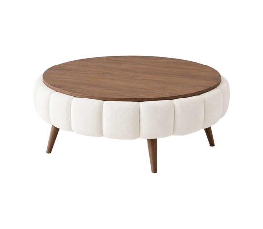 Coffee Table Homitis -