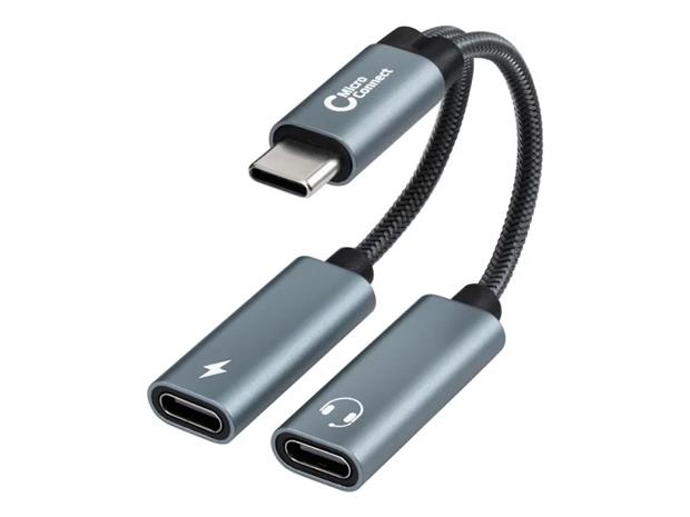 USB-C to USB-C PD and USB-C Female Adapter, Silver 13cm