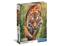 Clementoni Puzzle 1000 Pcs CB The Hunter's Path – kuva 4