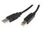 StarTech.com 5m USB 2.0 A to B Cable - M/M – kuva 3