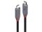 Lindy Anthra USB4 USB-C to USB-C Cable - 80cm – kuva 4