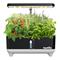 RainPoint Hydroponic Growing Kit – kuva 4