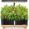 RainPoint Hydroponic Growing Kit – kuva 5