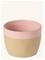 Costa Nova Arenito Lattekrus - Pink - ONE SIZE – kuva 3