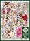 Palapelit Flower Press: Spring 1000 palaa, Cobble Hill – kuva 2