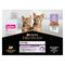 PRO PLAN Cat Junior Cat Turkey - 10x85 g – kuva 4
