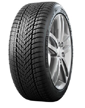 Winter blk 255/45 R18 103V