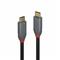 Lindy 2m USB 3.2 Type C – kuva 2