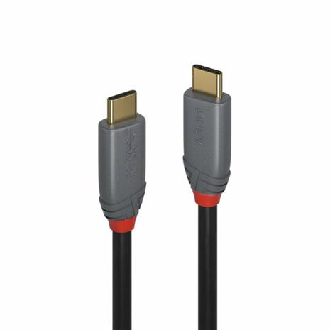 Lindy 2m USB 3.2 Type C