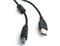 Gembird 3m USB 2.0 A/B M USB-kaapeli USB A USB B Musta CCF-U – kuva 2