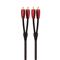 AudioQuest 5m Golden Gate RCA GOLDG – kuva 2