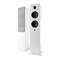 ARGON Forte A55 WiFi (Pair) 57069 – kuva 2