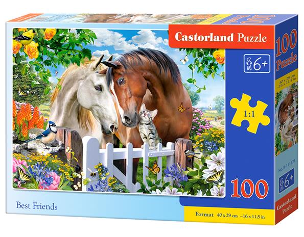 Castorland palapeli B-111121