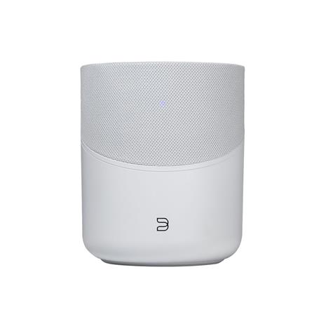 Bluesound PULSE M