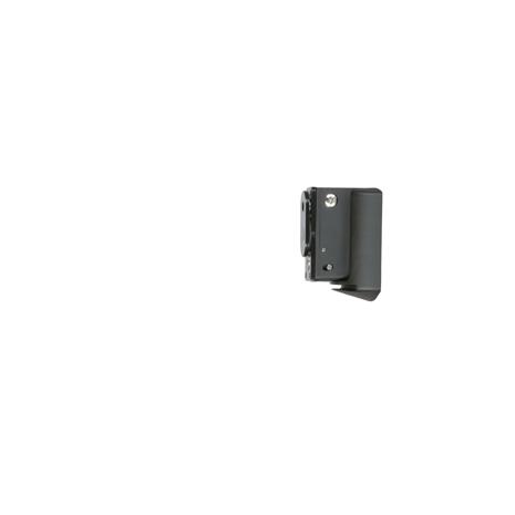 Bluesound WM100 BLSWM