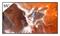 Sony FW-55BZ30PB (55"), LED-televisio – kuva 3