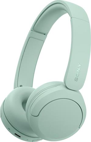 Sony WHCH535G.CE7